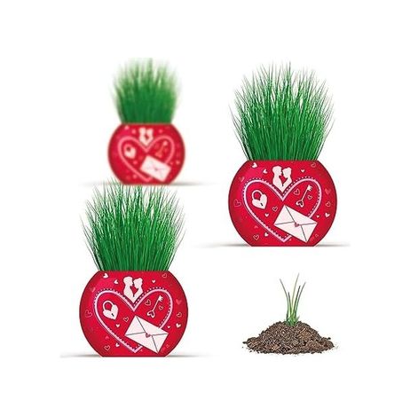 1000 Katalog 57855210124066880184975 Yuup Aşk Temalı 6&apos Lı Çim Adam Bitki Yetiştirme Seti Romantik Ve Eğlenceli Hediye