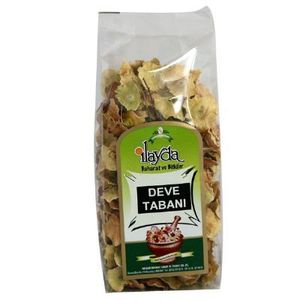 1293988 İlayda Deve Tabanı 70 G