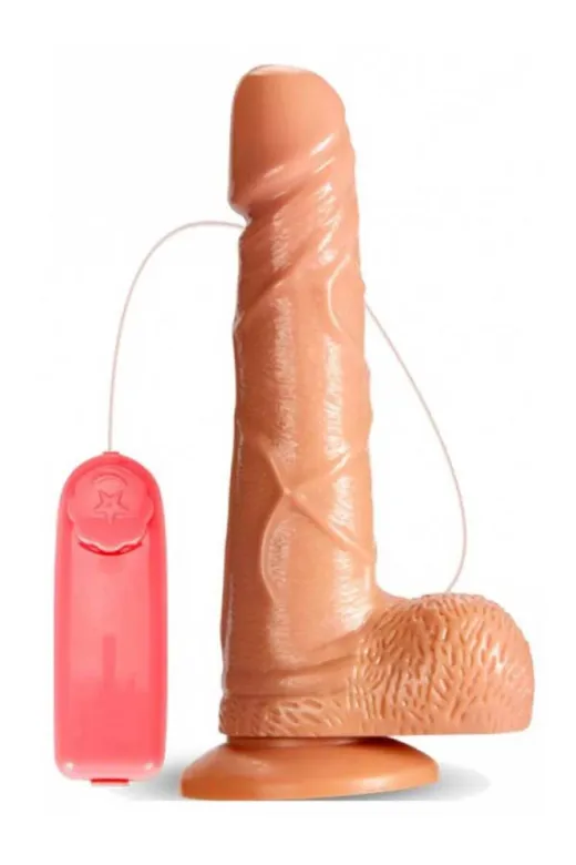 17 Cm Gerçekçi Titreşimli Dildo Vibratör Penis