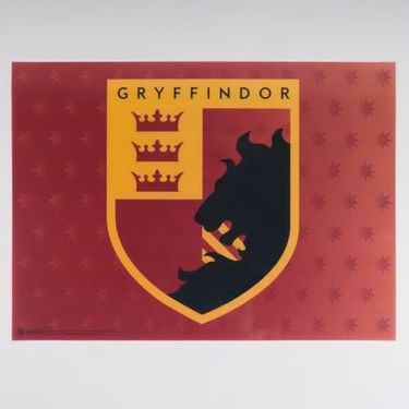 1Birhome 57855210126078480184975 - Gryffindor Lisanslı Amerikan Servis Acı Kahverengi