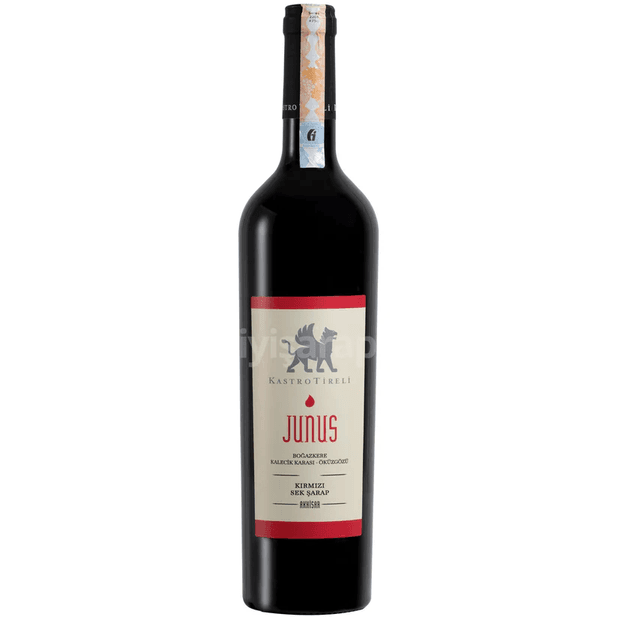 20171453 Kastro Tireli Junus