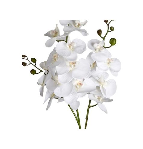 57858324442706899283959 Yapay Çiçek Orkide 3 Dallı Beyaz 118 Cm. Diğer