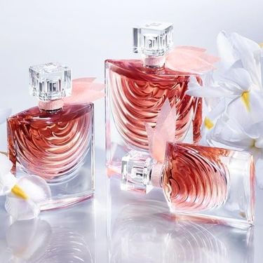 57858324445280799283959 Lancome La Vie Est Belle Absolu Edp 100 Ml Parfüm Diğer