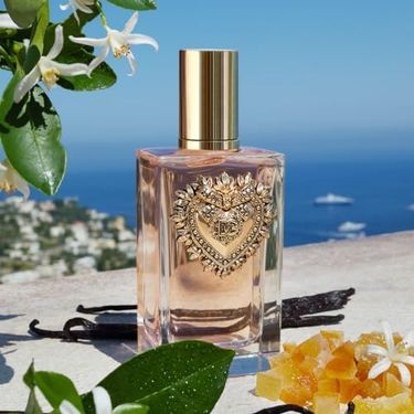 57858324445384699283959 Dolce Gabbana Devotion Edp 100 Ml Parfüm Diğer