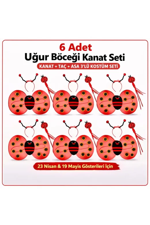 6'lı Uğur Böceği Ateş Böceği Kostüm Seti – Kanat Taç Asa