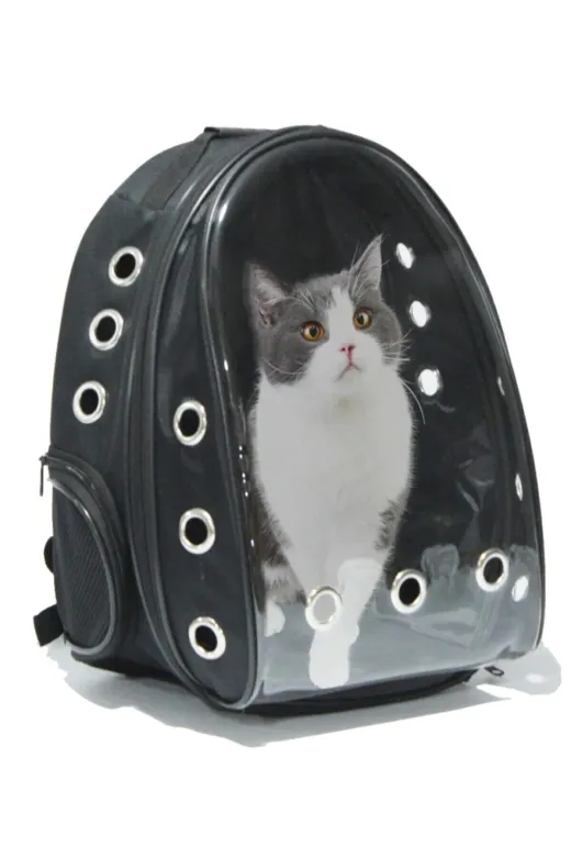 Alfagrup 8603414 Al&fa Grup Şeffaf Hava Kanallı Kırılmaz Cam Kedi Köpek Taşıma Seyahat Çanta 42*22*33 Cm Siyah
