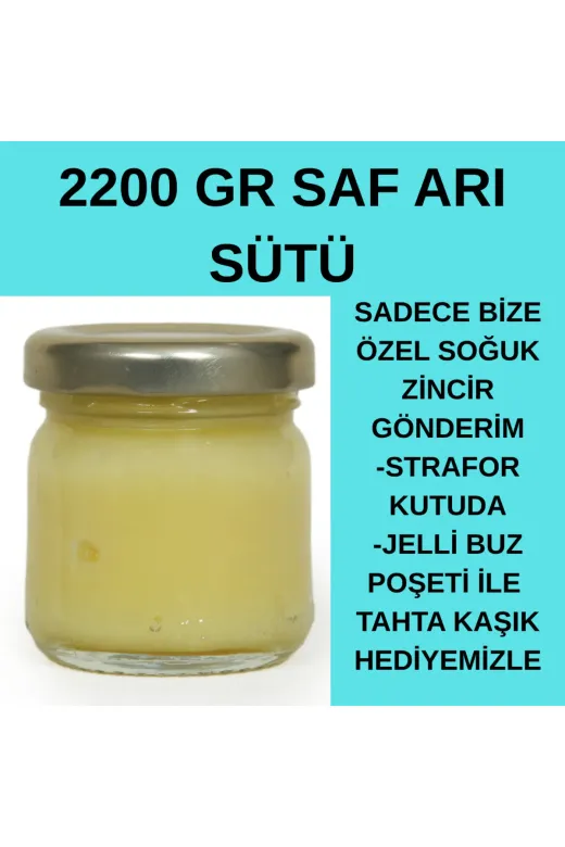 APİMED DFBSD43534 Muhteşem Firsat (2200Gr) Saf Ari Sütü Strafor Kutuda Buz Poşeti İle Gönderim+Tahta Kaşik