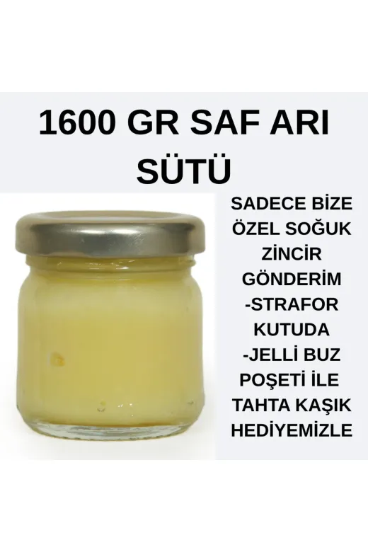 APİMED DGSD3523 Ekonomik Boy Saf Ari Sütü (1600Gr) Avantajli Ürün Strafor Kutuda Buz Poşeti İle Gönderim