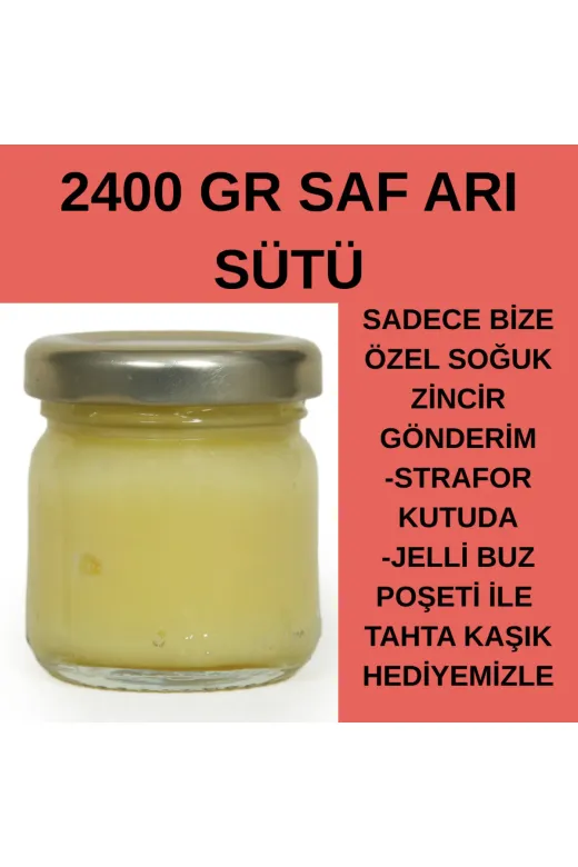 APİMED FDBHER453 Ekonomik Paket (2400Gr)Apimed Saf Ari Sütü Soğuk Zincir Strafor Kutuda Jelli Buz Poşeti İle
