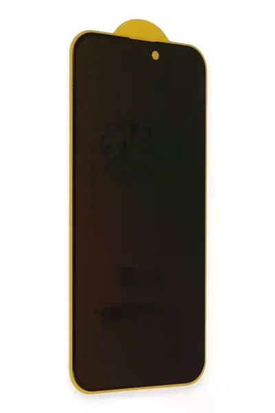 Apple iPhone 12 Pro Max Bilvis 3D Hayalet Cam Ekran Koruyucu