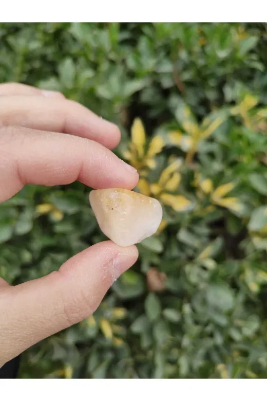 ART LİFE DOĞALTAŞ Natural Stones ART LİFE DOĞALTAŞ Natural Stones 300430 Sitrin Tamburlanmış Doğal Taş Tımbıl (Para Çekme, Bolluk Ve Bereket Taşı)