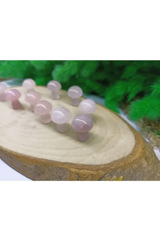 ART LİFE DOĞALTAŞ Natural Stones ART LİFE DOĞALTAŞ Natural Stones 300416 Pembe Kuvars Mantar Doğaltaş Dekorasyon (Sertifikalı)