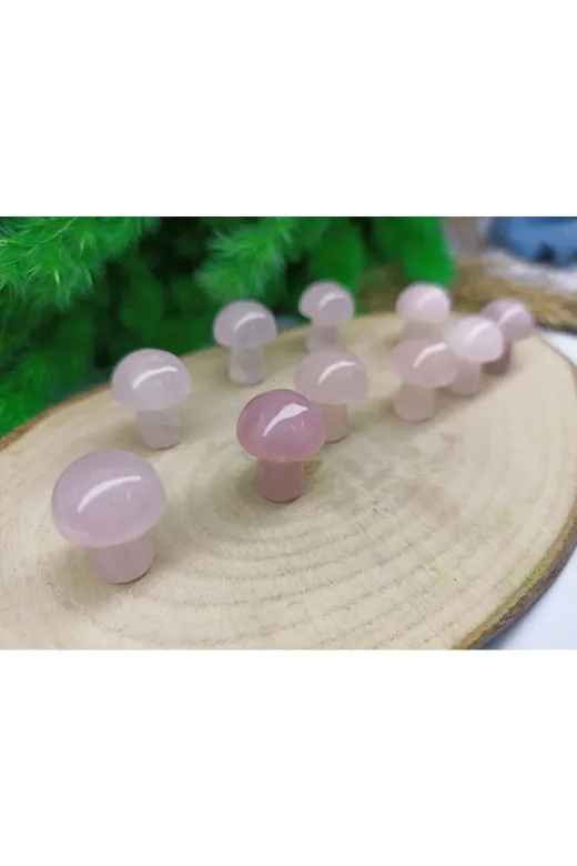 ART LİFE DOĞALTAŞ Natural Stones ART LİFE DOĞALTAŞ Natural Stones 300416 Pembe Kuvars Mantar Doğaltaş Dekorasyon (Sertifikalı)