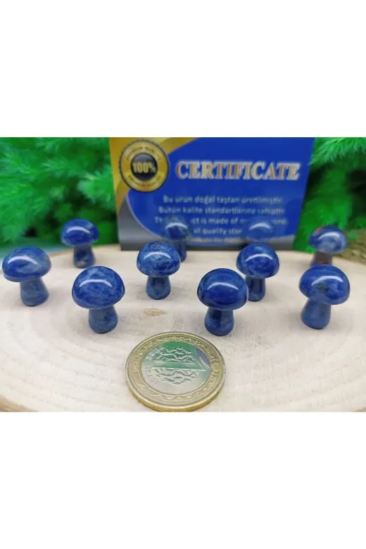 ART LİFE DOĞALTAŞ Natural Stones ART LİFE DOĞALTAŞ Natural Stones 300448 Ametist Taşı Kütle- Koyu Renk