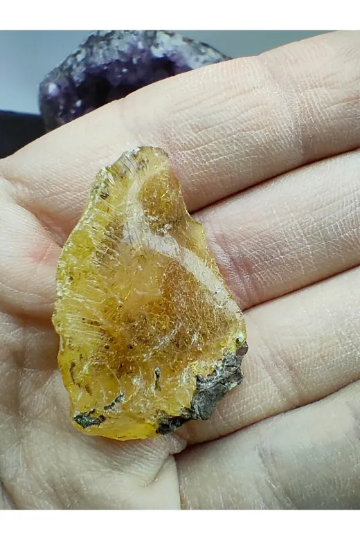 ART LİFE DOĞALTAŞ Natural Stones ART LİFE DOĞALTAŞ Natural Stones 300393 Fosilli Kehribar Doğal Taş Dekoratif Obje (Sertifikalı)