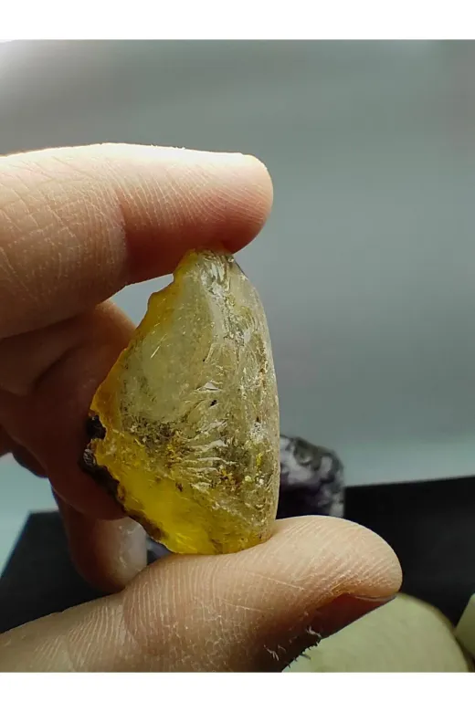 ART LİFE DOĞALTAŞ Natural Stones ART LİFE DOĞALTAŞ Natural Stones 300393 Fosilli Kehribar Doğal Taş Dekoratif Obje (Sertifikalı)