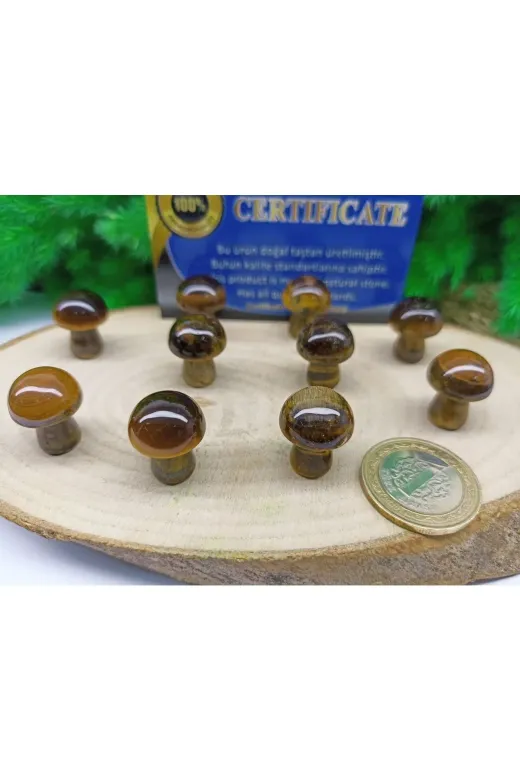 ART LİFE DOĞALTAŞ Natural Stones ART LİFE DOĞALTAŞ Natural Stones 300423 Geotit Standlı Doğal Taş