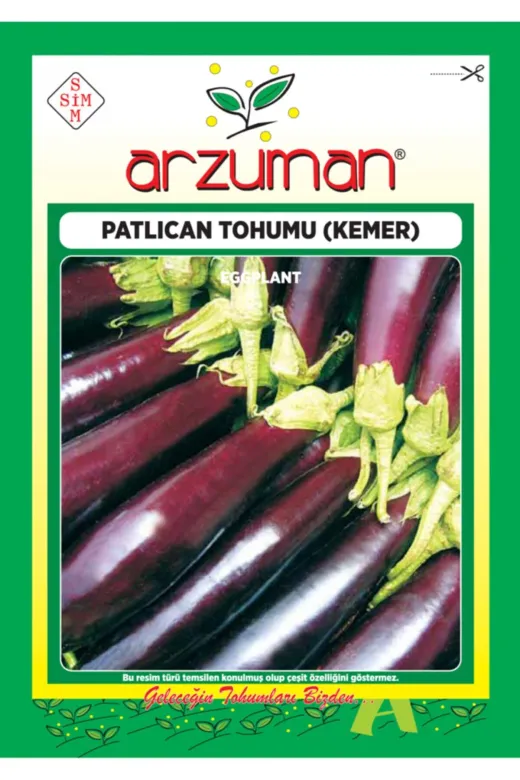 Arzuman Tohum TA3840810178 Kemer Patlıcan Tohumu