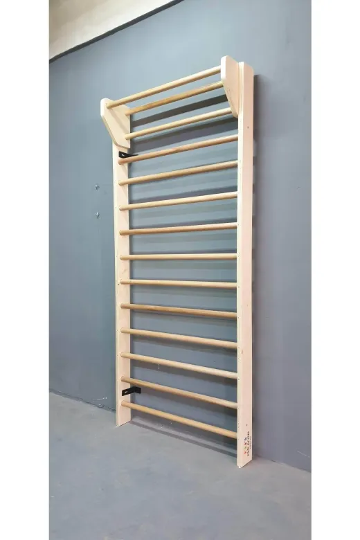 assa spor JIM-007 Jimnastik Ve Fizik Tedavi Parmaklık Basic Jım-133 Jimnastik Malzemesi Profesyonel