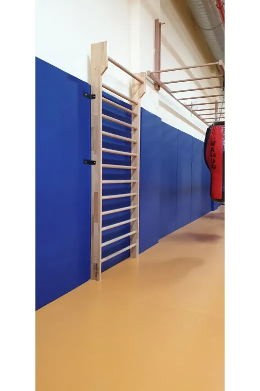 ASSASPOR Jimnastik Ve Fizik Tedavi Rehabilitasyon Parmaklık Barfiksli (Jim-007)