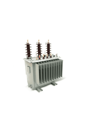 Astor A Sinifi Pors 0002 50 Kva 31.5/0.4 Kv Trafo(A Sinifi) Pors. İzolatör