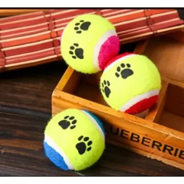 At Getir Köpek Eğitim Topu (4745)