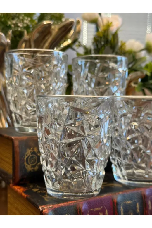 atabey home RYNBARDAKLAR 6 Adet Kristalize Model Meşrubat & Su Bardaği-Gümüş Detayli 300 Ml 10 Cm