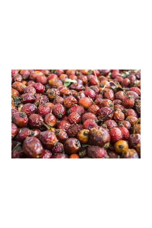 Ayvalık Baharat 199 Kuşburnu 500 Gr