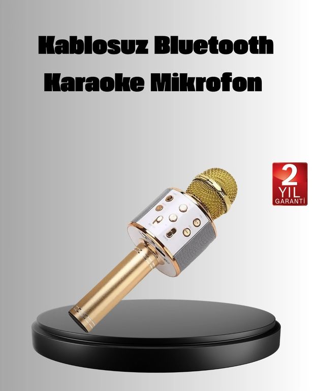 Balancelife 125025792 Mey İthalat Kablosuz Karaoke Mikrofon Usb Aux Destekli Parti Ve Eğlence İçin Çok Renkli