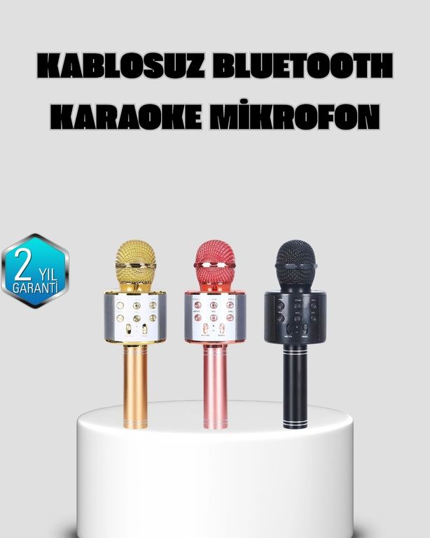 Balancelife 125120309 Mey İthalat Taşınabilir Karaoke Mikrofon Bluetooth, Usb Ve Aux Girişli Çok Renkli