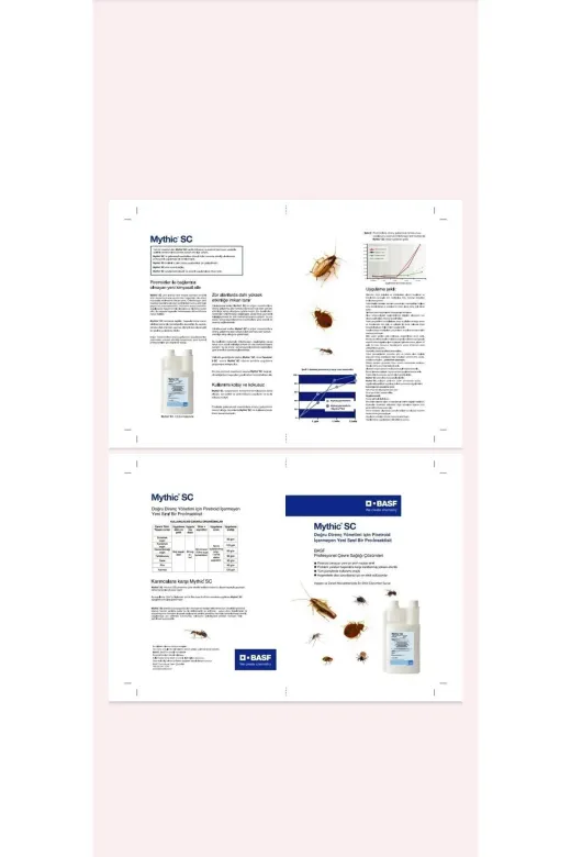 BASF Bxnnxmx Mythic Sc 2025