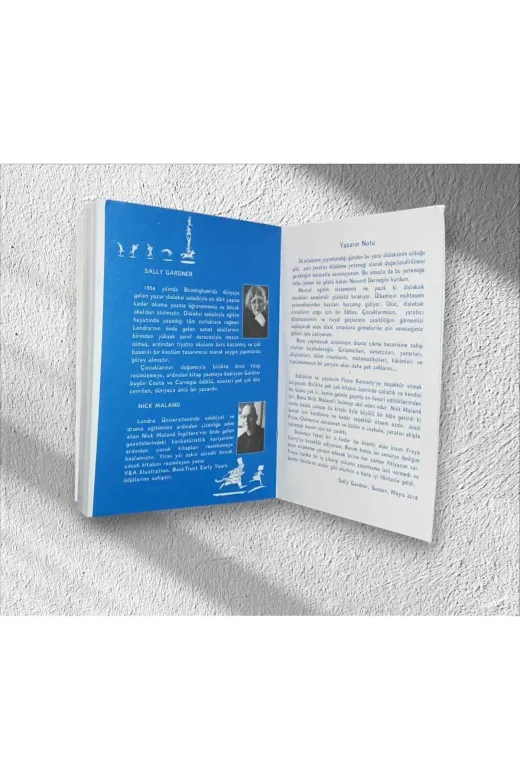 Beyaz Balina Yayınları TYCX7TPYKN171569496396751 Bay Kaplan Betsy Ve Mavi Ay