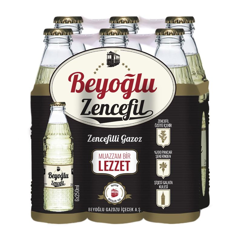 beyoğlu05498 Beyoğlu Zencefilli Doğal Zengin Mineralli Gazlı İçecek 6 X 250 Ml