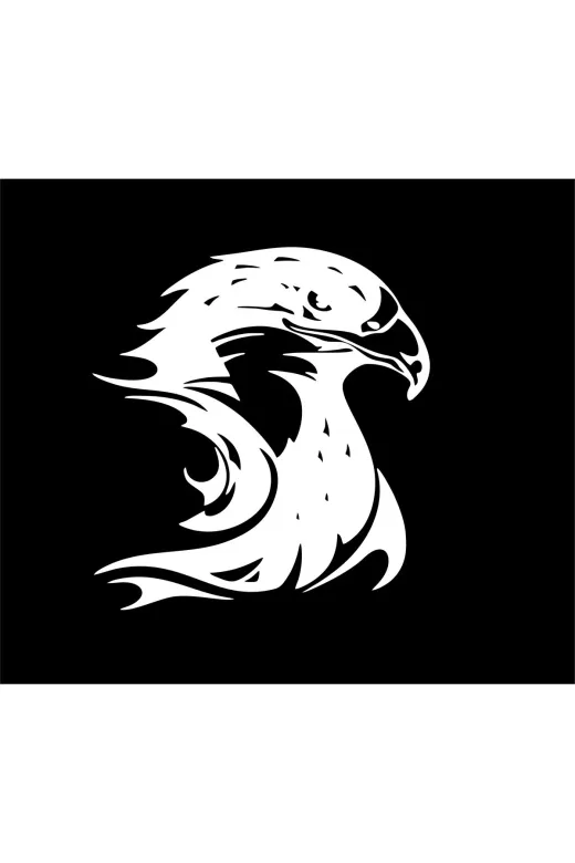 Birim Matbaa TYCLBQ2PPN169695236596014 Kartal Motor Oto Sticker Etiket (20X22Cm )