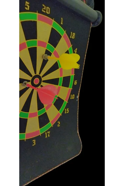 bizon TYC6976F87A6759A06E246302 Sarı Kırmızı Dart Oku