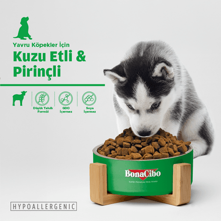 BonaCibo köp987984840 Puppy Lamb & Rice Kuzu Etli Ve Pirinçli Yavru Köpek Maması 3 Kg