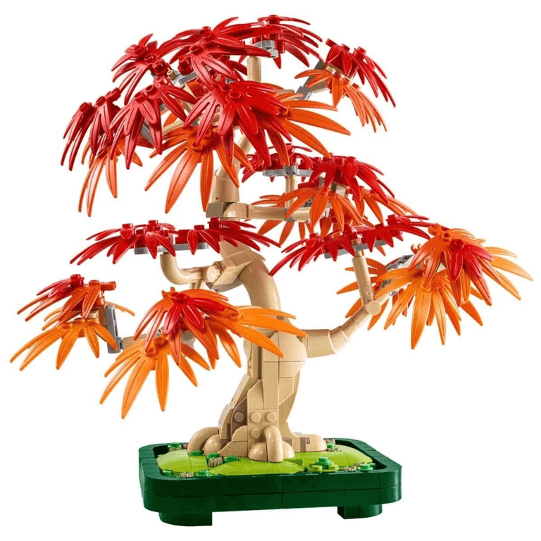 Botanicals Japon Kırmızı Akçaağaç Bonsai Ağacı 10348
