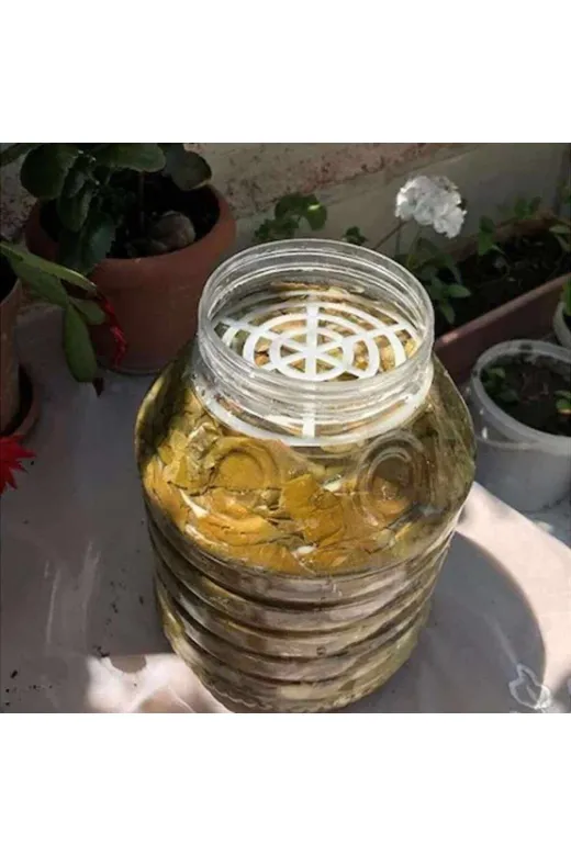 buççin online mağaza AMTRİ9409 Kavanoz Bidon Seperatörü Yaprak Baskı Seperatörü 10 Adet Plastik Ekru Tr