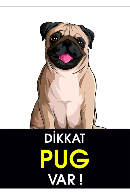 Bull's TYCSFYZREN169148966132123 Dikkat Pug Var (35X50)
