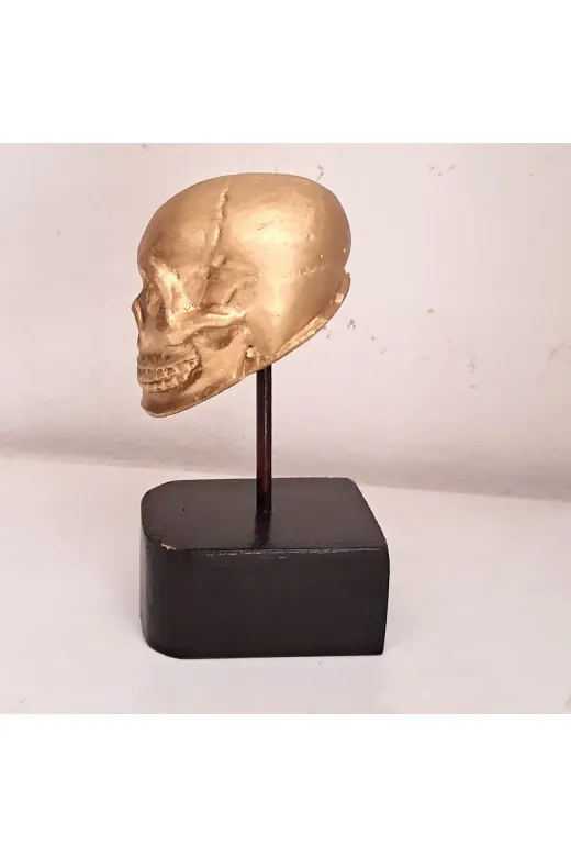 burefe BH-0007 Antik Gold Dekoratif Kaideli Kurukafa Heykeli