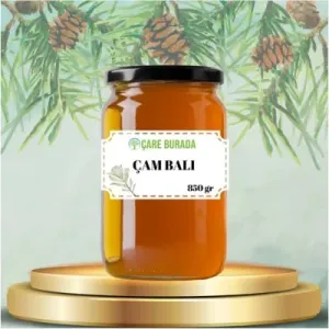 Çam Balı Muğla Bölgesi 850 gr