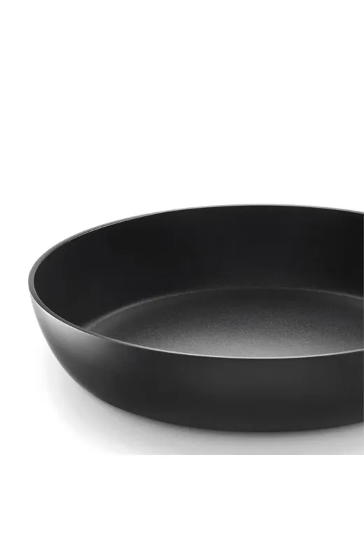 CASTEY TYCDC1Y2WN171226654565542 Titanium Kızartma Tavası 20 Cm