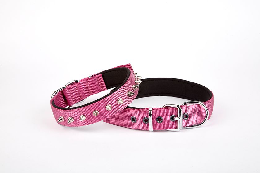 Çivi Desenli Köpek Tasması 2,5*60 cm Mor