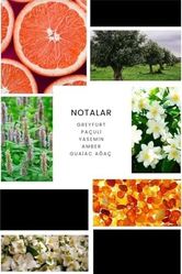 Diğer 128830574 Ixora E252 Victory Erkek Parfüm 100 Ml Edp