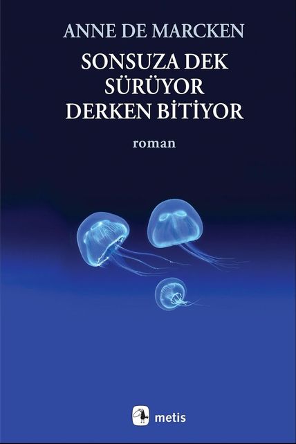 Diğer 130377157 Sonsuza Dek Sürüyor, Derken Bitiyor