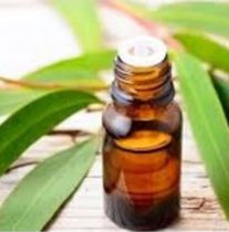 Diğer 2209853 Okaliptus Yağı 20 Ml