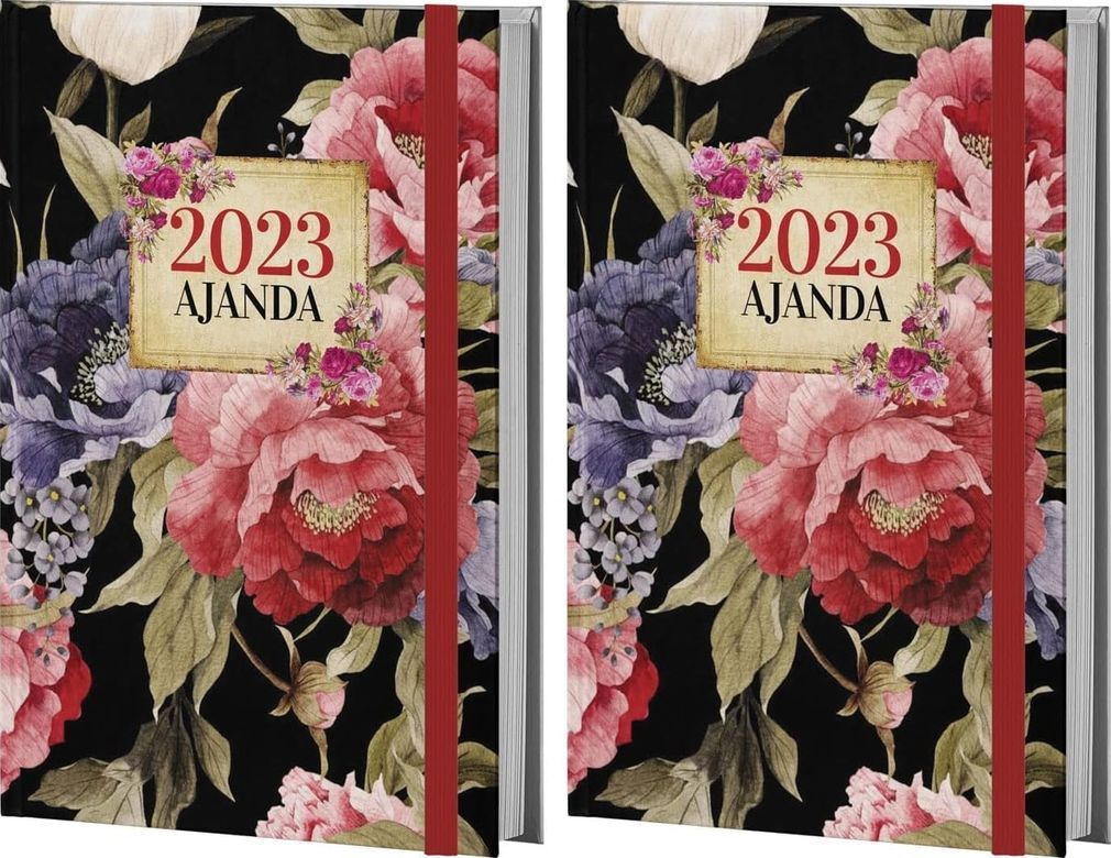 Diğer 57858324452723099283959 Halk Kitabevi Mor Kelebek Retro 2023 Ajanda, 13.5X21Cm, 128 Sayfa, Ciltli 2Li Paket Açık Gri