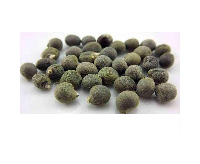 Diğer 6857875 Lokman Aktar Bamya Tohumu 1 Kg