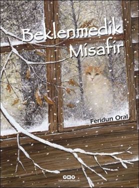 Diğer Beklenmedik Misafir - Huvj-753183