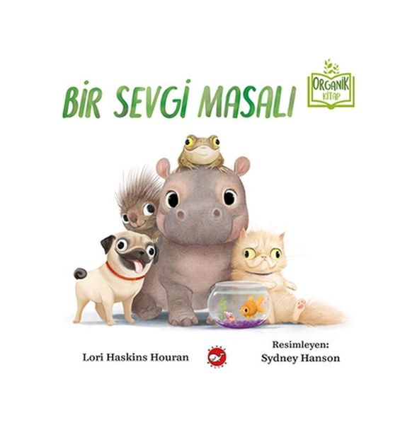 Diğer Bir Sevgi Masalı - Organik Kitaplar - Huvj-751504